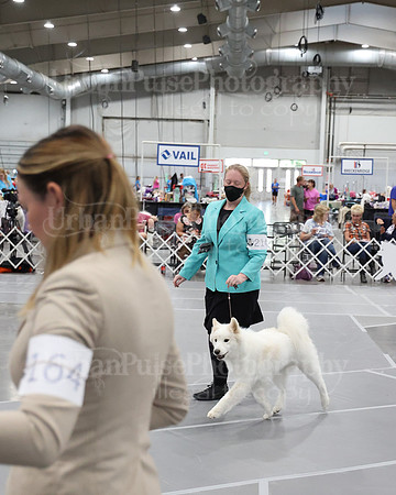 2021 SCA WK SWPS NOVICE B-3043