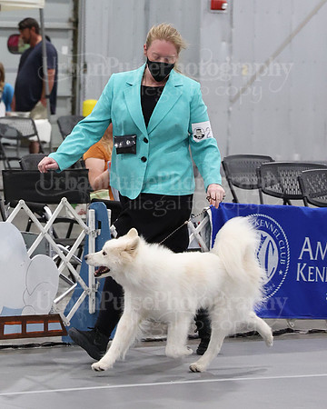 2021 SCA WK SWPS NOVICE B-3057