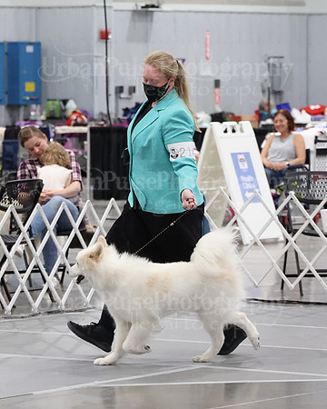 2021 SCA WK SWPS NOVICE B-3055