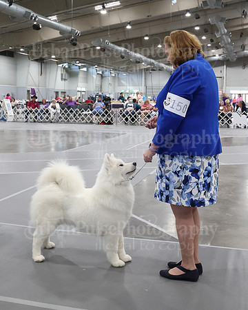 2021 SCA WK SWPS NOVICE B-3058