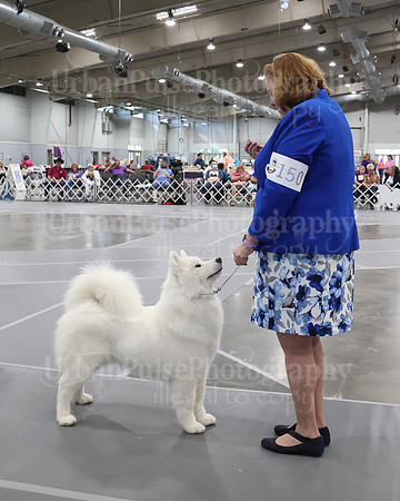 2021 SCA WK SWPS NOVICE B-3059
