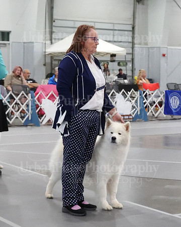 2021 SCA WK SWPS NOVICE B-3060
