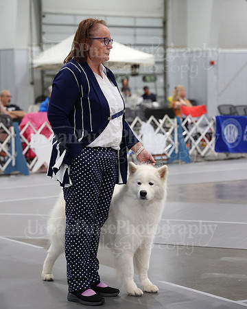 2021 SCA WK SWPS NOVICE B-3061