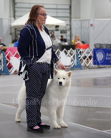 2021 SCA WK SWPS NOVICE B-3062