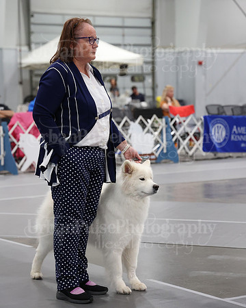 2021 SCA WK SWPS NOVICE B-3063