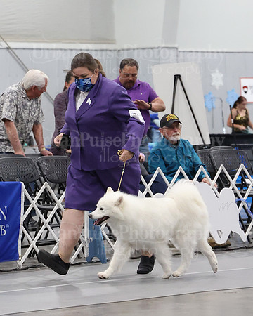 2021 SCA WK SWPS NOVICE B-3065