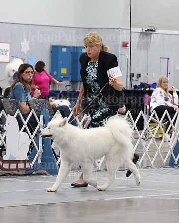2021 SCA WK SWPS NOVICE B-3067