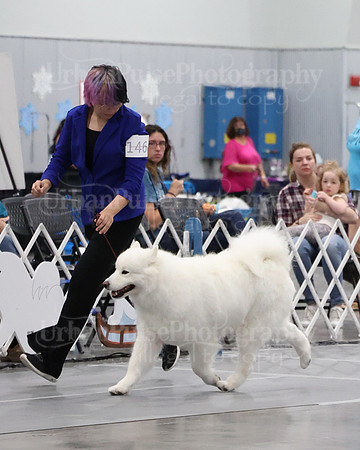 2021 SCA WK SWPS NOVICE B-3069