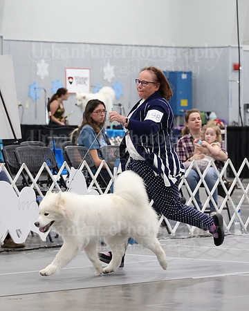 2021 SCA WK SWPS NOVICE B-3074