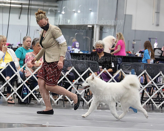 2021 SCA WK SWPS NOVICE B-3086