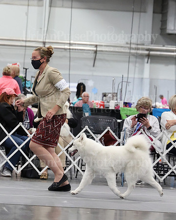 2021 SCA WK SWPS NOVICE B-3089