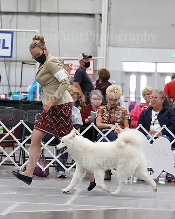 2021 SCA WK SWPS NOVICE B-3093