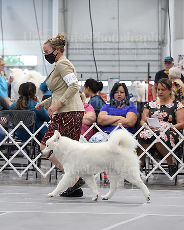 2021 SCA WK SWPS NOVICE B-3096