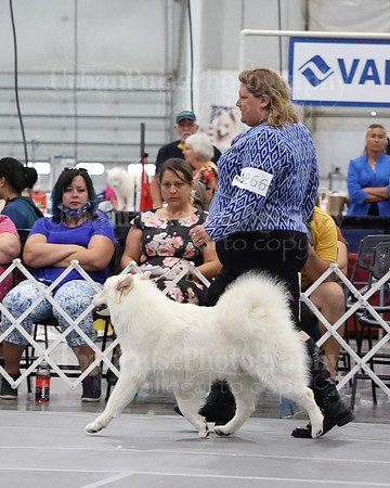 2021 SCA WK SWPS NOVICE B-3102