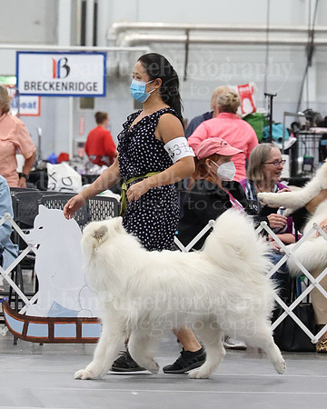 2021 SCA WK SWPS NOVICE B-3107