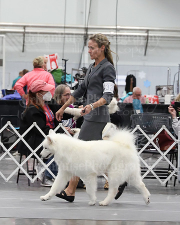 2021 SCA WK SWPS NOVICE B-3108