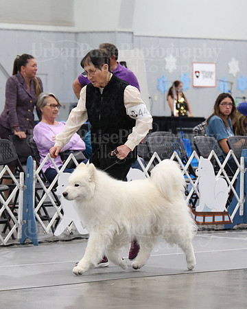 2021 SCA WK SWPS NOVICE B-3122
