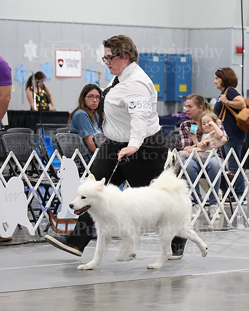 2021 SCA WK SWPS NOVICE B-3126