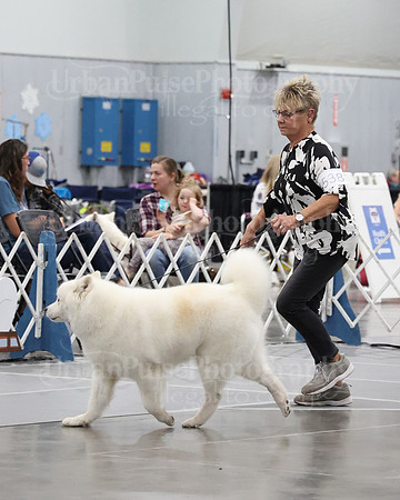 2021 SCA WK SWPS NOVICE B-3129