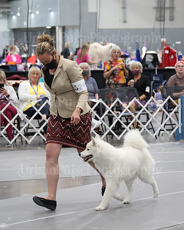 2021 SCA WK SWPS NOVICE B-3132