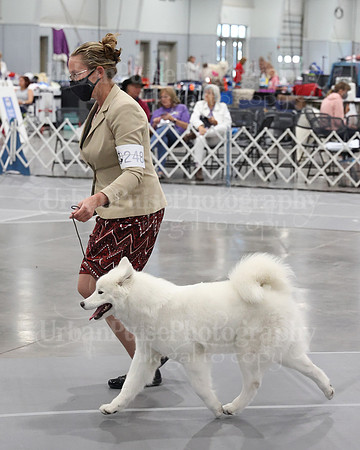 2021 SCA WK SWPS NOVICE B-3135