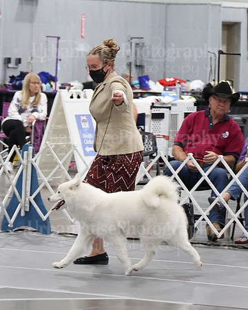 2021 SCA WK SWPS NOVICE B-3140