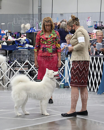 2021 SCA WK SWPS NOVICE B-3138