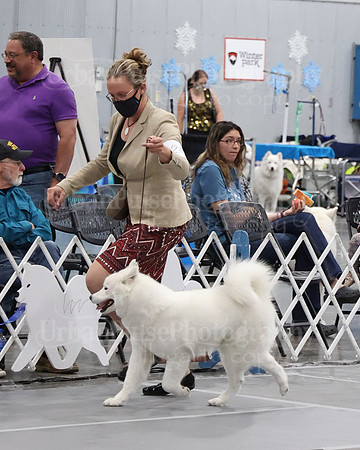 2021 SCA WK SWPS NOVICE B-3143