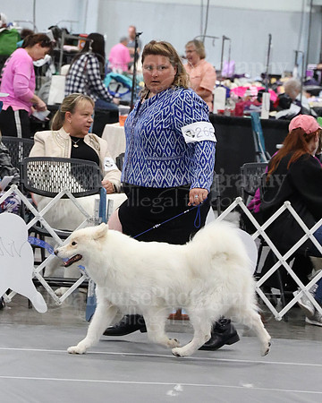 2021 SCA WK SWPS NOVICE B-3170