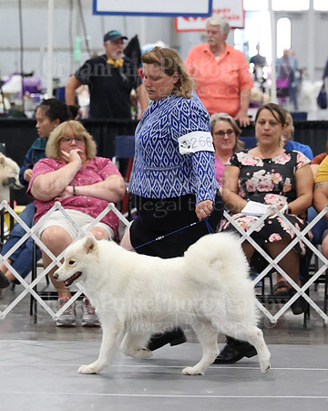 2021 SCA WK SWPS NOVICE B-3174