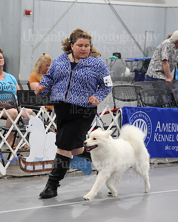 2021 SCA WK SWPS NOVICE B-3183