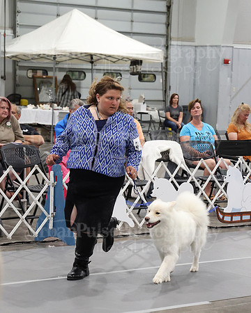 2021 SCA WK SWPS NOVICE B-3185