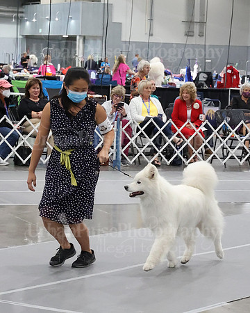 2021 SCA WK SWPS NOVICE B-3188
