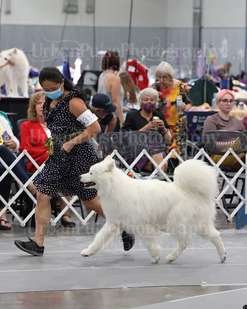 2021 SCA WK SWPS NOVICE B-3197