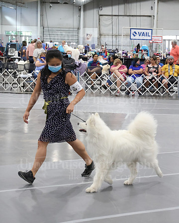 2021 SCA WK SWPS NOVICE B-3194