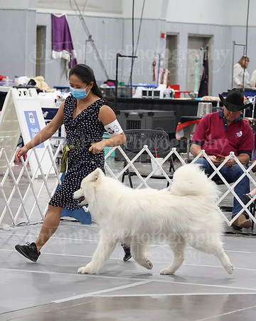 2021 SCA WK SWPS NOVICE B-3208