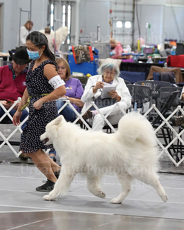 2021 SCA WK SWPS NOVICE B-3207