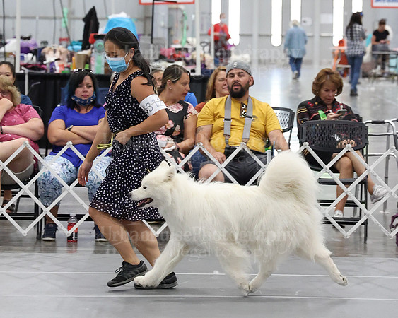 2021 SCA WK SWPS NOVICE B-3203