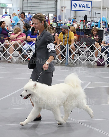 2021 SCA WK SWPS NOVICE B-3219