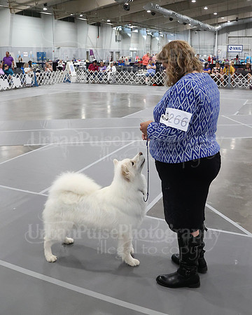 2021 SCA WK SWPS NOVICE B-3223
