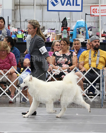 2021 SCA WK SWPS NOVICE B-3230