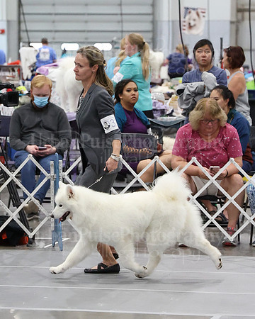 2021 SCA WK SWPS NOVICE B-3231
