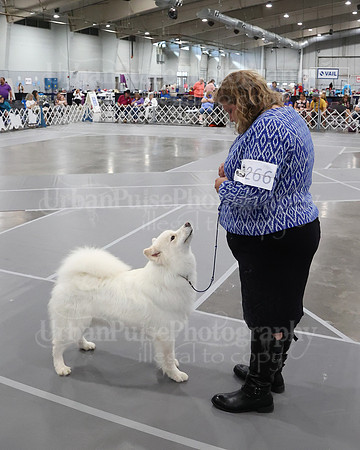 2021 SCA WK SWPS NOVICE B-3222