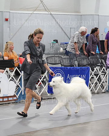 2021 SCA WK SWPS NOVICE B-3236