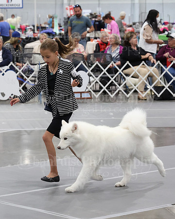 2021 SCA WK SWPS NOVICE B-3242