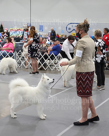 2021 SCA WK SWPS NOVICE B-3248