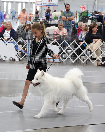 2021 SCA WK SWPS NOVICE B-3249