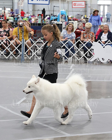2021 SCA WK SWPS NOVICE B-3251