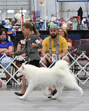 2021 SCA WK SWPS NOVICE B-3256