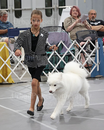 2021 SCA WK SWPS NOVICE B-3264